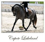 Capote Lakeland
